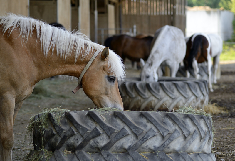 Reducing Contamination Through Careful PPE Waste Disposal